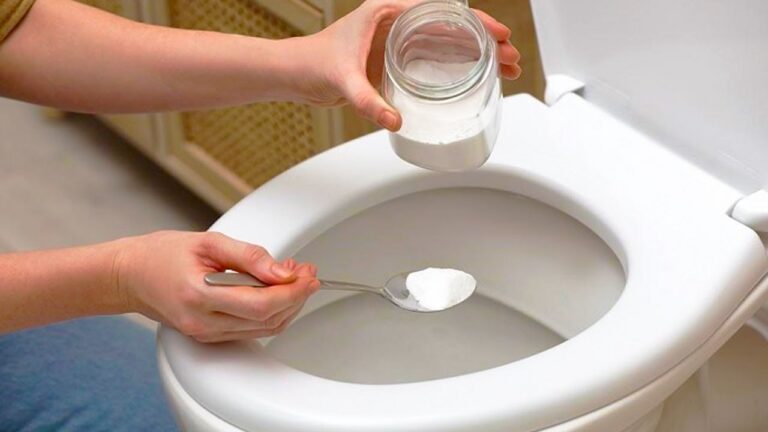 Why Should You Put Salt in Your Toilet