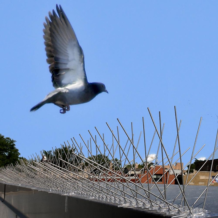 Bird-X Stainless Steel Bird Spikes 50 Feet - Effective Outdoor Bird  Repellent - Humane & Odorless - Protects Large Spaces - All Purpose Use in  the Animal & Rodent Control department at Lowes.com