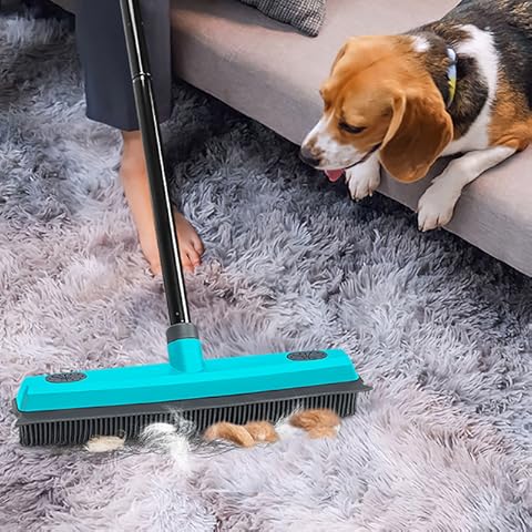 Amazon.com: Carpet Rake For Matted Carpet