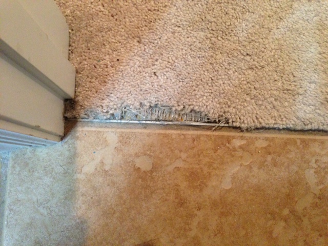 Carpet fraying at a door threshold: how do I fix it? : r/DIY