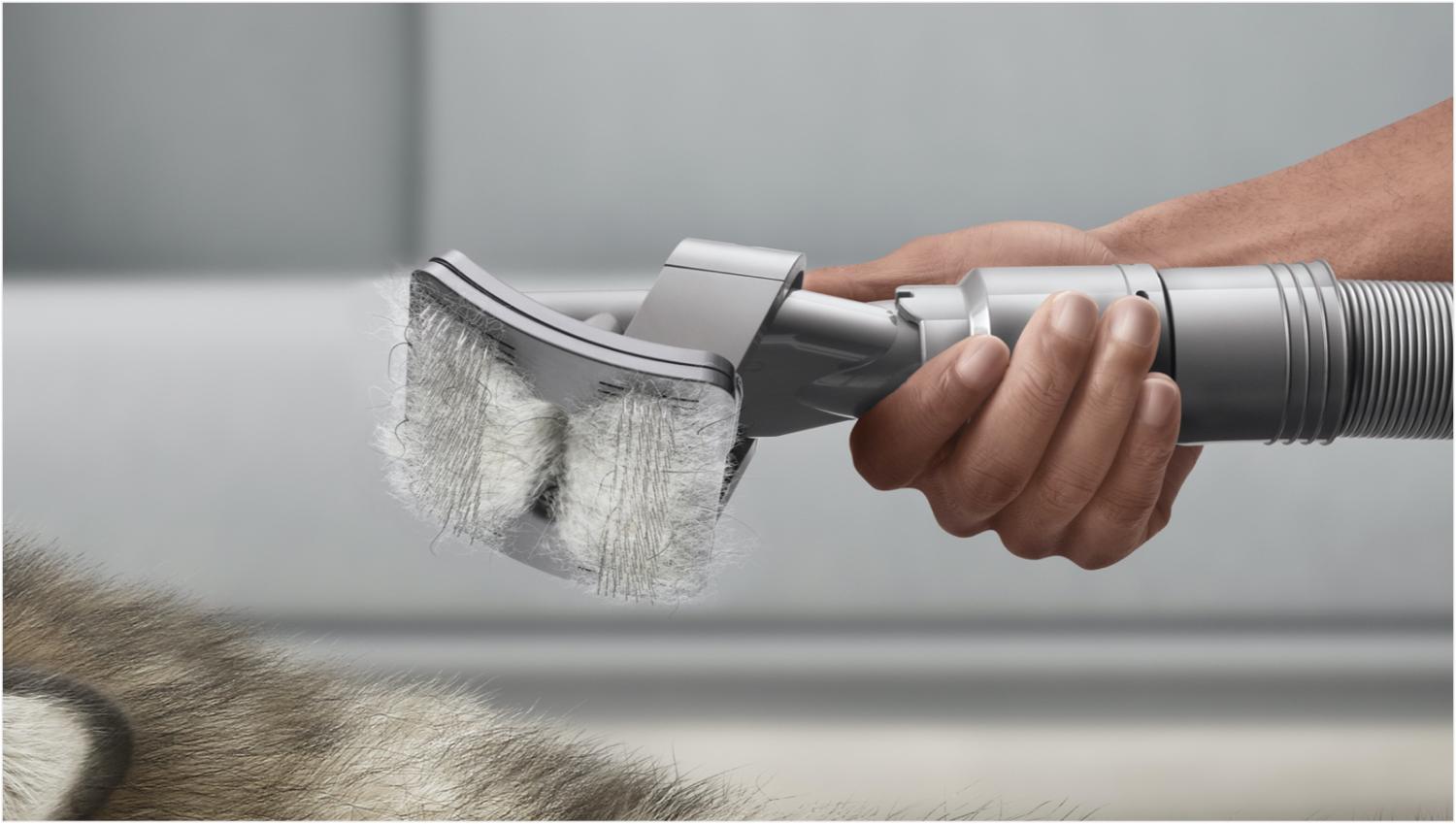 Pet grooming kit | Dyson UAE