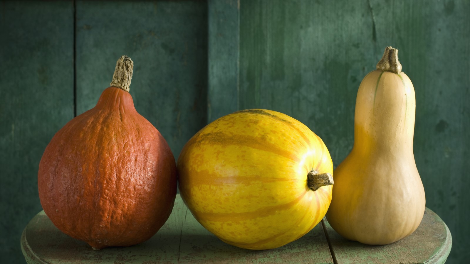 When to harvest winter squash: and how to store them properly | Homes & Gardens