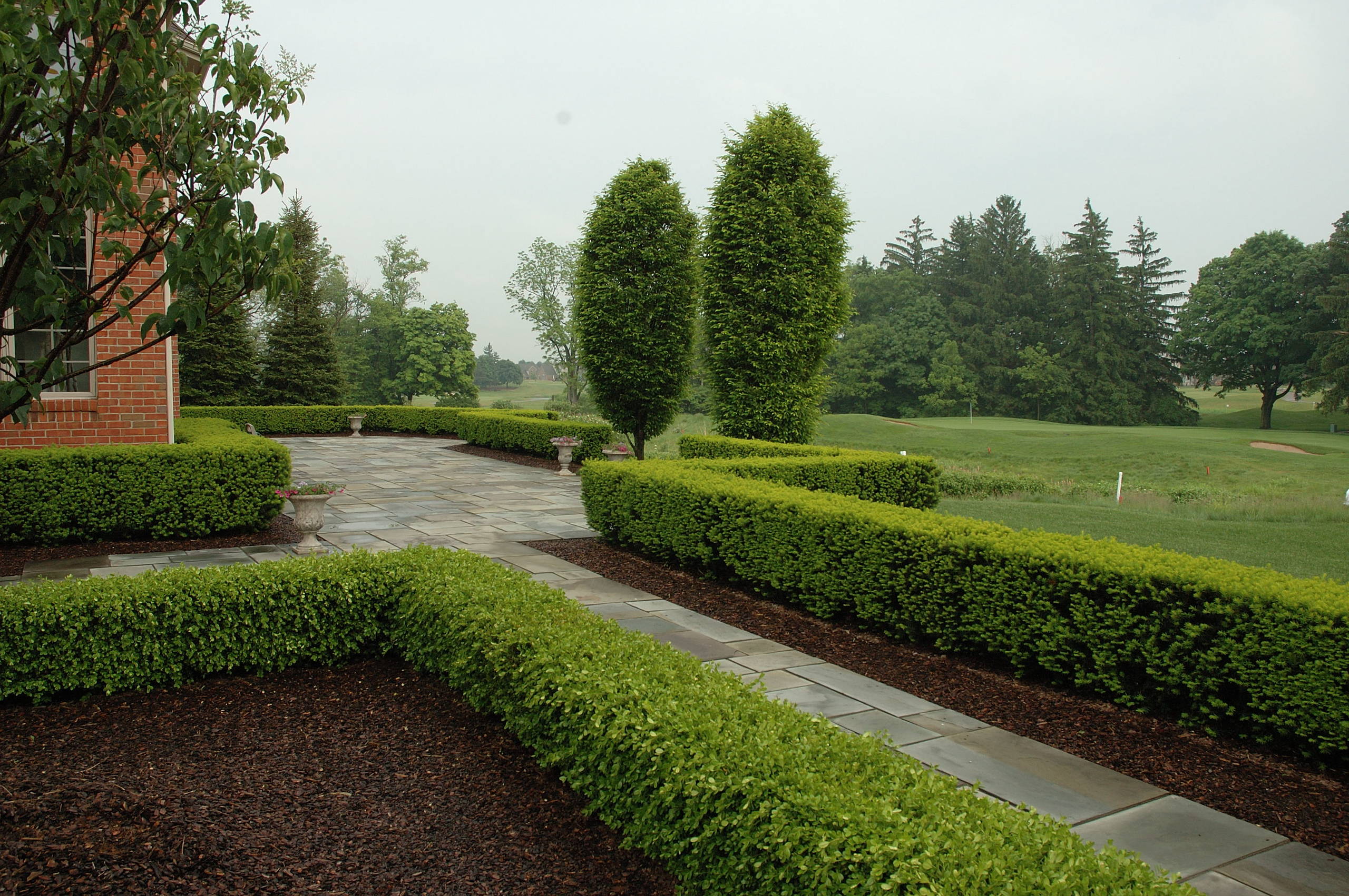 Great Design Plant: Boxwood