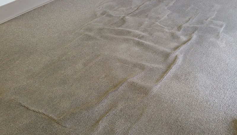 How to Get Carpet to Lay Flat: A Complete Guide to Fixing Buckles and Wrinkles