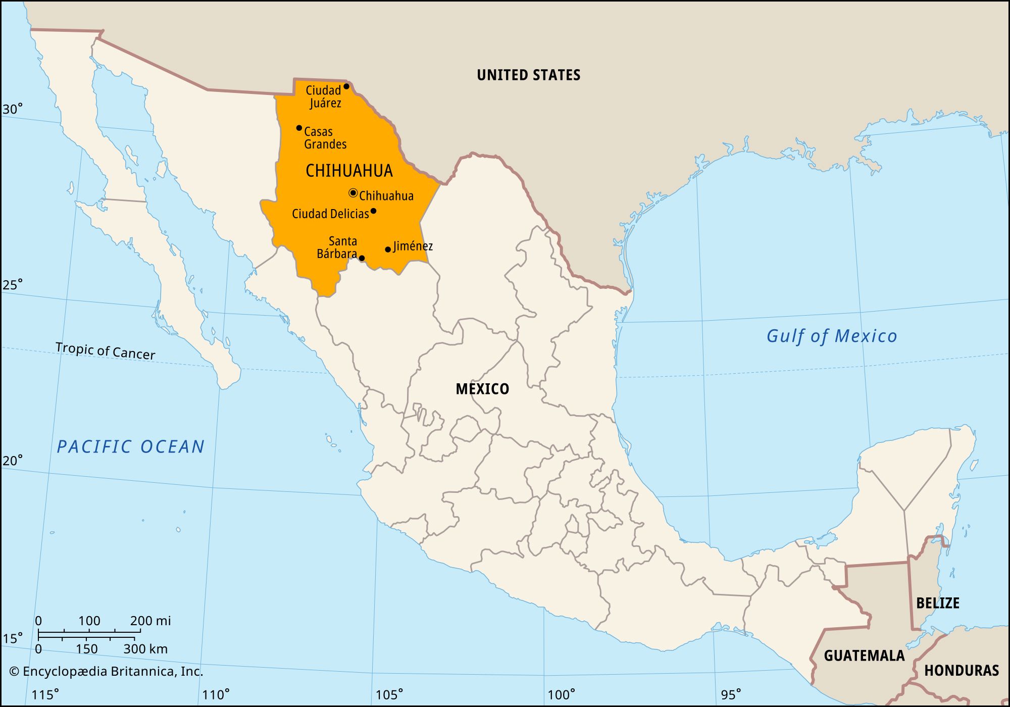 Why Is Chihuahua Important to Mexico? A Comprehensive Analysis